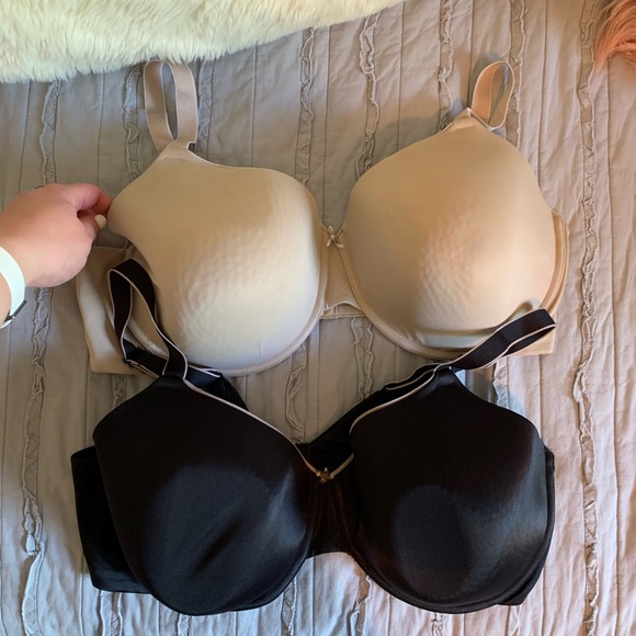 44d bras